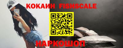 стафф Гусев